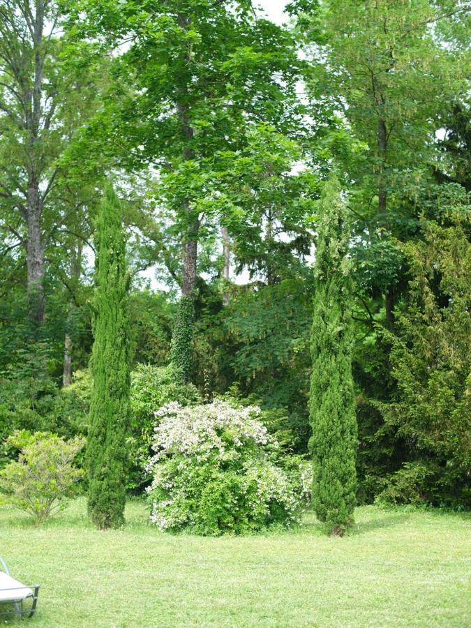 Bed and Breakfast Cote Park Гиври Экстерьер фото