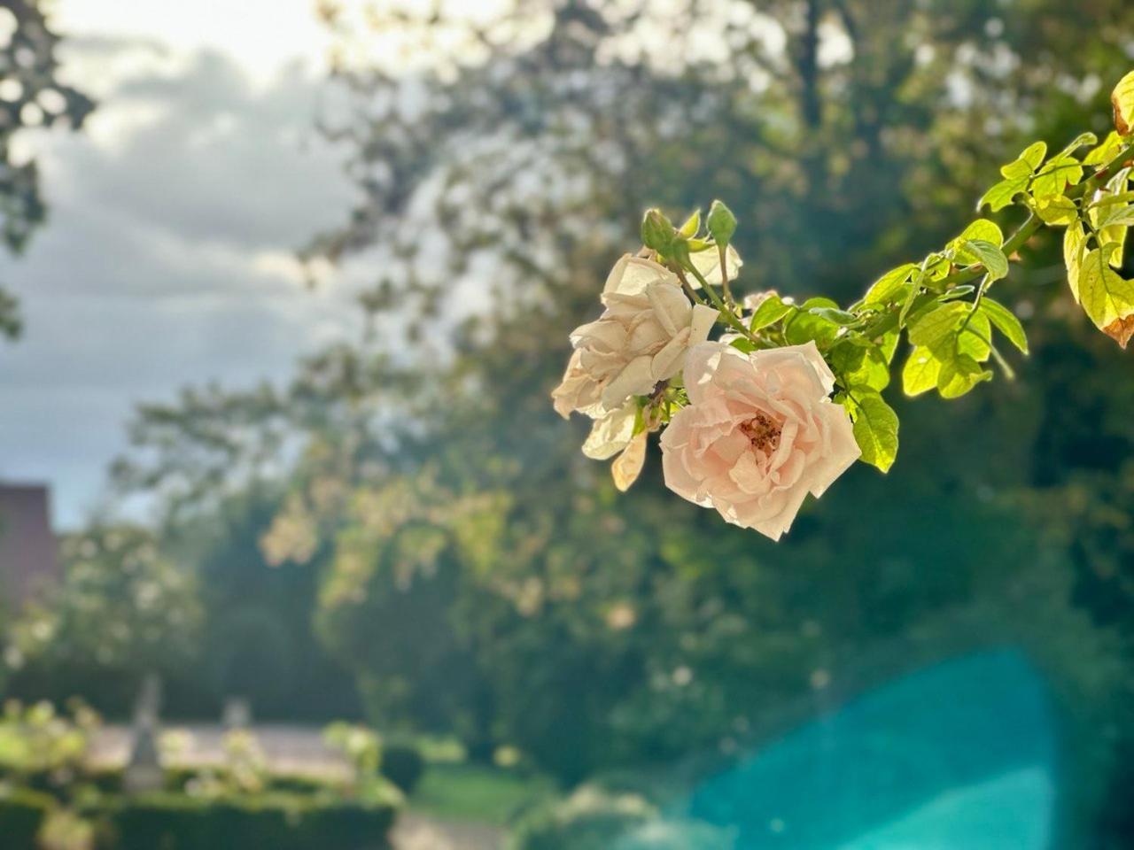 Bed and Breakfast Cote Park Гиври Экстерьер фото