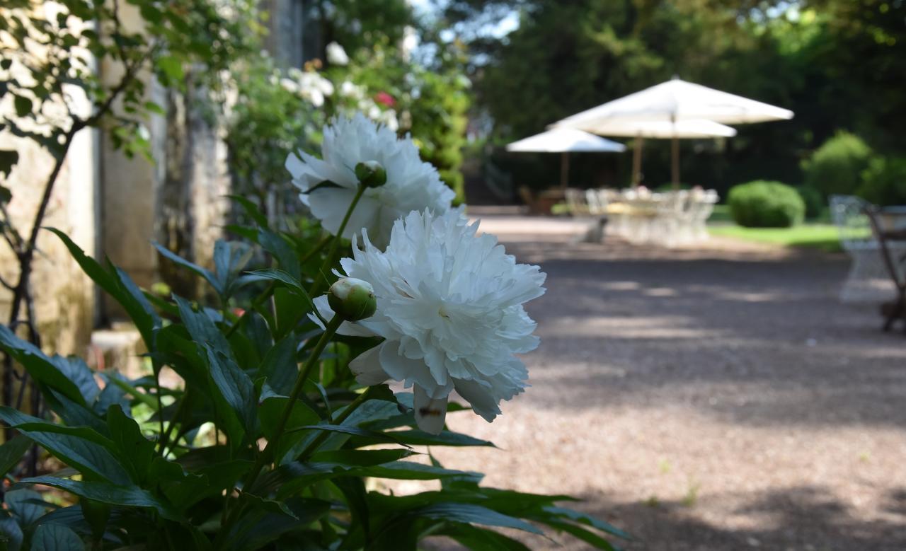 Bed and Breakfast Cote Park Гиври Экстерьер фото